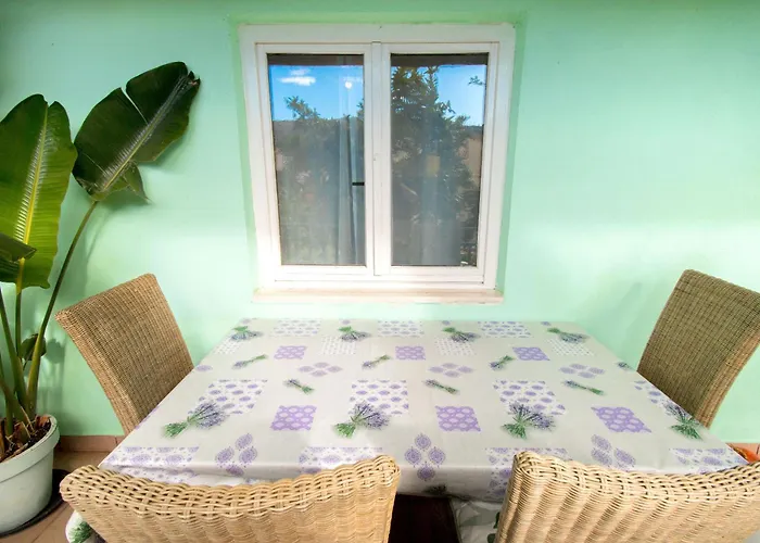 Apartment Mirkovic *